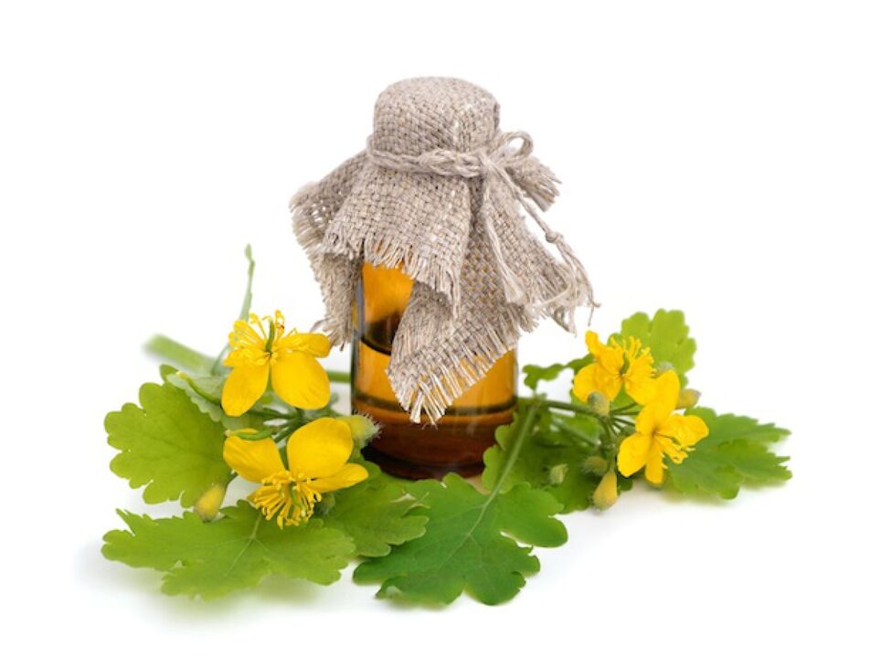 infusion of celandine for foot fungus